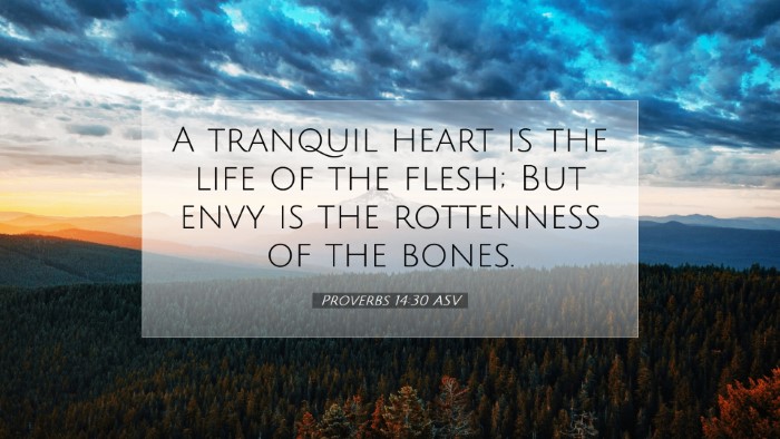 Picture 07 - Proverbs 14:30 ASV Desktop Wallpaper - A tranquil heart is the life of the flesh; But - Desktop Bible Verse Wallpaper