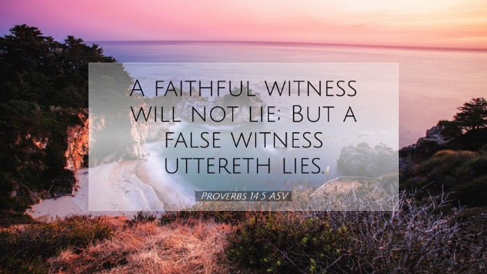 Picture 07 - Proverbs 14:5 ASV Desktop Wallpaper - A faithful witness will not lie; But a false - Desktop Bible Verse Wallpaper