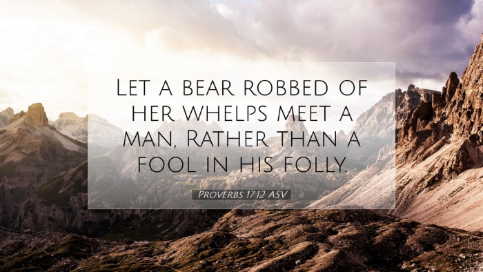 Picture 07 - Proverbs 17:12 ASV Desktop Wallpaper - Let a bear robbed of her whelps meet a man, - Desktop Bible Verse Wallpaper