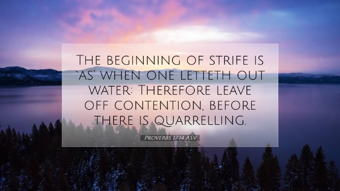 Picture 07 - Proverbs 17:14 ASV Desktop Wallpaper - The beginning of strife is `as' when one letteth - Desktop Bible Verse Wallpaper