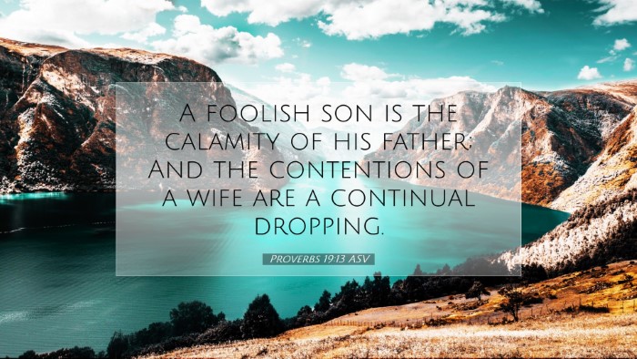 Picture 07 - Proverbs 19:13 ASV Desktop Wallpaper - A foolish son is the calamity of his father; And - Desktop Bible Verse Wallpaper