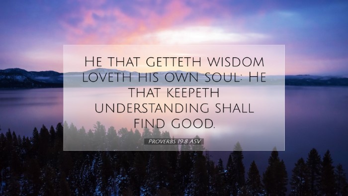 Picture 07 - Proverbs 19:8 ASV Desktop Wallpaper - He that getteth wisdom loveth his own soul: He - Desktop Bible Verse Wallpaper