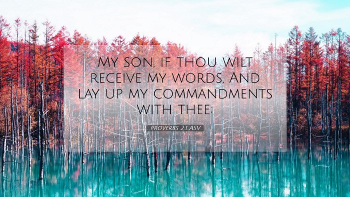 Picture 07 - Proverbs 2:1 ASV Desktop Wallpaper - My son, if thou wilt receive my words, And lay up - Desktop Bible Verse Wallpaper