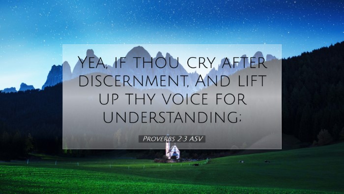 Picture 07 - Proverbs 2:3 ASV Desktop Wallpaper - Yea, if thou cry after discernment, And lift up - Desktop Bible Verse Wallpaper