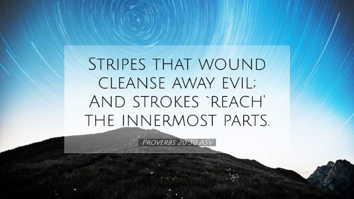 Picture 07 - Proverbs 20:30 ASV Desktop Wallpaper - Stripes that wound cleanse away evil; And strokes - Desktop Bible Verse Wallpaper