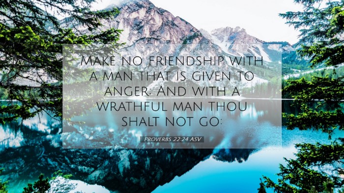 Picture 07 - Proverbs 22:24 ASV Desktop Wallpaper - Make no friendship with a man that is given to - Desktop Bible Verse Wallpaper