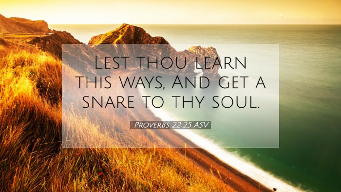 Picture 07 - Proverbs 22:25 ASV Desktop Wallpaper - Lest thou learn this ways, And get a snare to thy - Desktop Bible Verse Wallpaper