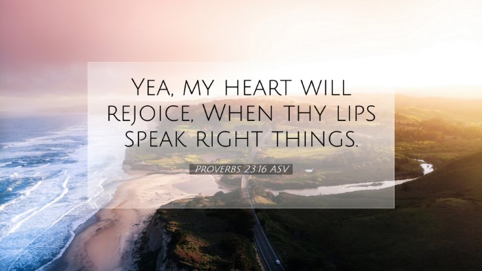 Picture 07 - Proverbs 23:16 ASV Desktop Wallpaper - Yea, my heart will rejoice, When thy lips speak - Desktop Bible Verse Wallpaper