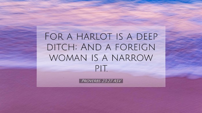 Picture 07 - Proverbs 23:27 ASV Desktop Wallpaper - For a harlot is a deep ditch; And a foreign woman - Desktop Bible Verse Wallpaper