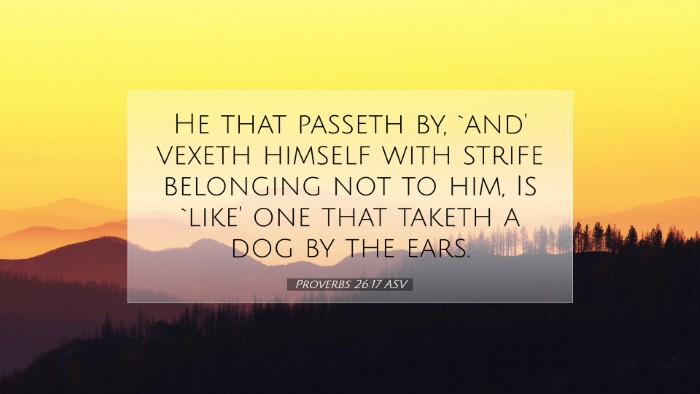 Picture 07 - Proverbs 26:17 ASV Desktop Wallpaper - He that passeth by, `and' vexeth himself with - Desktop Bible Verse Wallpaper