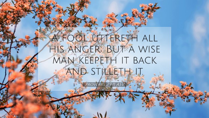 Picture 07 - Proverbs 29:11 ASV Desktop Wallpaper - A fool uttereth all his anger; But a wise man - Desktop Bible Verse Wallpaper
