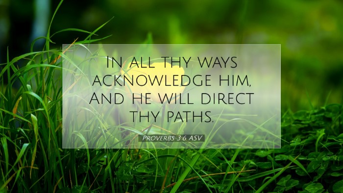 Picture 07 - Proverbs 3:6 ASV Desktop Wallpaper - In all thy ways acknowledge him, And he will - Desktop Bible Verse Wallpaper