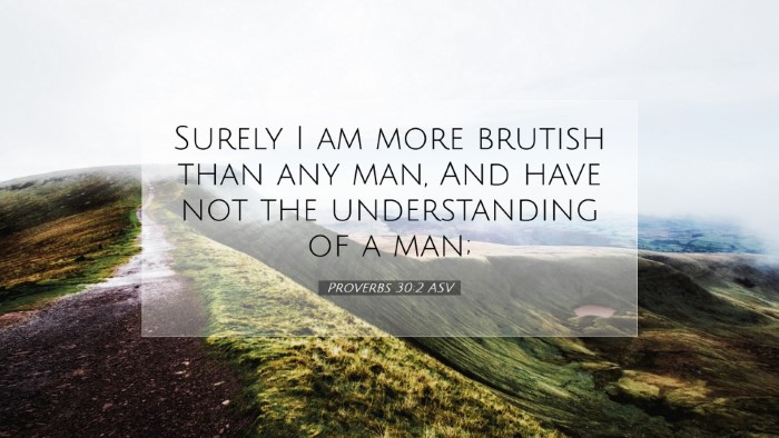 Picture 07 - Proverbs 30:2 ASV Desktop Wallpaper - Surely I am more brutish than any man, And have - Desktop Bible Verse Wallpaper