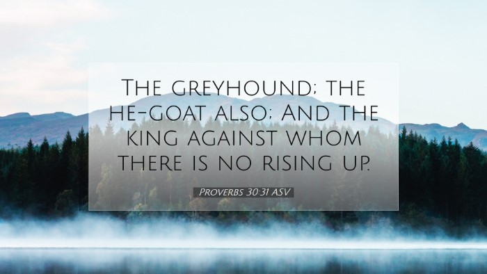 Picture 07 - Proverbs 30:31 ASV Desktop Wallpaper - The greyhound; the he-goat also; And the king - Desktop Bible Verse Wallpaper