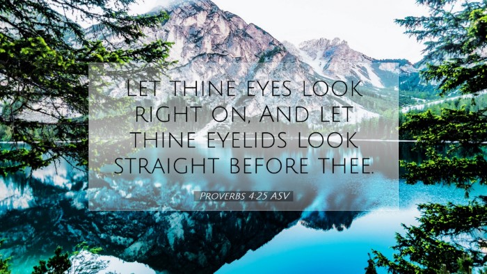 Picture 07 - Proverbs 4:25 ASV Desktop Wallpaper - Let thine eyes look right on, And let thine - Desktop Bible Verse Wallpaper