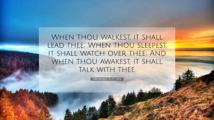 Picture 07 - Proverbs 6:22 ASV Desktop Wallpaper - When thou walkest, it shall lead thee; When thou - Desktop Bible Verse Wallpaper
