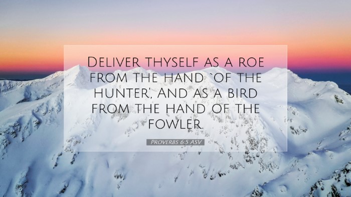 Picture 07 - Proverbs 6:5 ASV Desktop Wallpaper - Deliver thyself as a roe from the hand `of the - Desktop Bible Verse Wallpaper