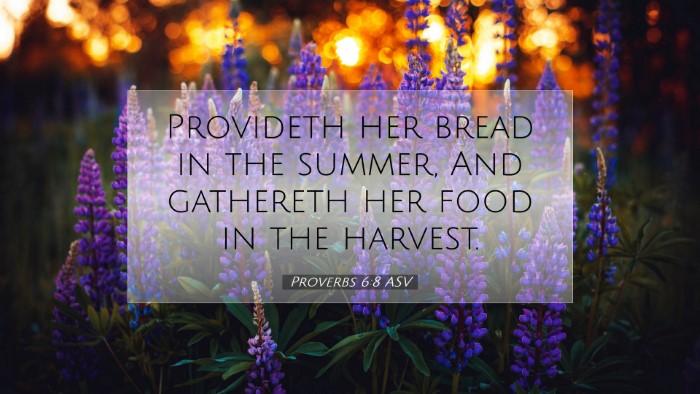 Picture 07 - Proverbs 6:8 ASV Desktop Wallpaper - Provideth her bread in the summer, And gathereth - Desktop Bible Verse Wallpaper