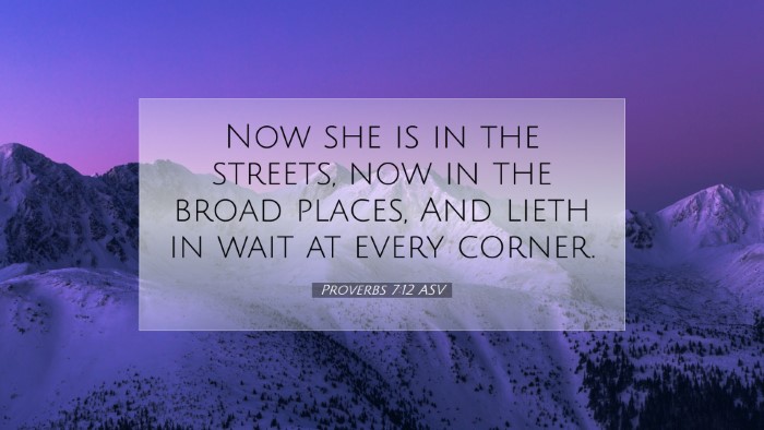 Picture 07 - Proverbs 7:12 ASV Desktop Wallpaper - Now she is in the streets, now in the broad - Desktop Bible Verse Wallpaper