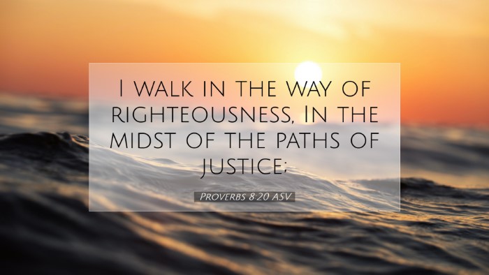 Picture 07 - Proverbs 8:20 ASV Desktop Wallpaper - I walk in the way of righteousness, In the midst - Desktop Bible Verse Wallpaper