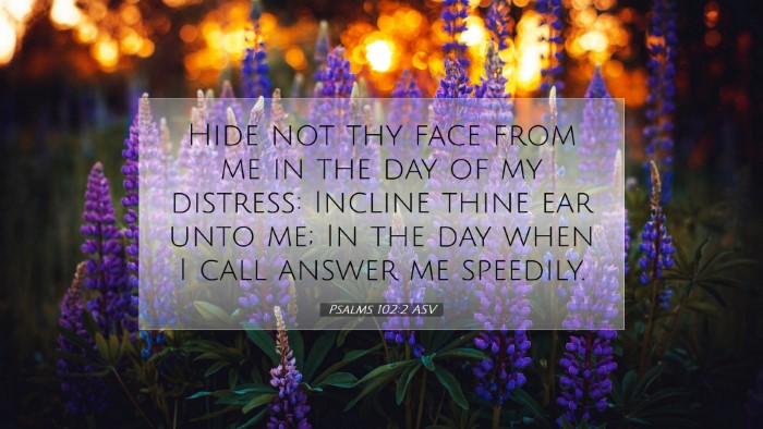 Picture 07 - Psalms 102:2 ASV Desktop Wallpaper - Hide not thy face from me in the day of my - Desktop Bible Verse Wallpaper
