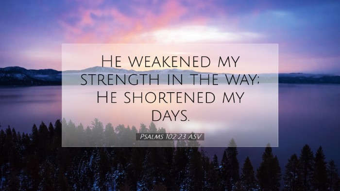 Picture 07 - Psalms 102:23 ASV Desktop Wallpaper - He weakened my strength in the way; He shortened - Desktop Bible Verse Wallpaper