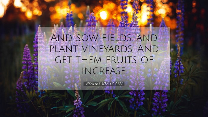 Picture 07 - Psalms 107:37 ASV Desktop Wallpaper - And sow fields, and plant vineyards, And get them - Desktop Bible Verse Wallpaper