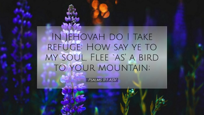 Picture 07 - Psalms 11:1 ASV Desktop Wallpaper - In Jehovah do I take refuge: How say ye to my - Desktop Bible Verse Wallpaper