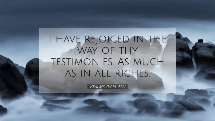 Picture 07 - Psalms 119:14 ASV Desktop Wallpaper - I have rejoiced in the way of thy testimonies, As - Desktop Bible Verse Wallpaper