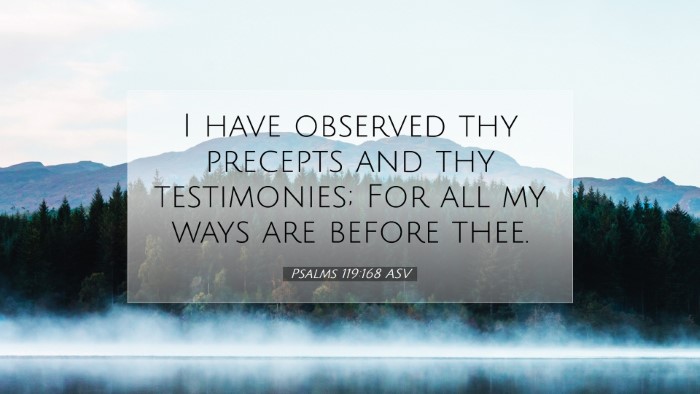 Picture 07 - Psalms 119:168 ASV Desktop Wallpaper - I have observed thy precepts and thy testimonies; - Desktop Bible Verse Wallpaper