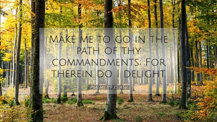 Picture 07 - Psalms 119:35 ASV Desktop Wallpaper - Make me to go in the path of thy commandments; - Desktop Bible Verse Wallpaper