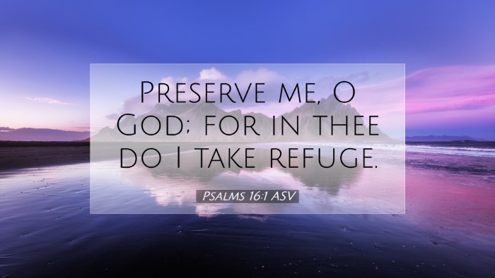 Picture 07 - Psalms 16:1 ASV Desktop Wallpaper - Preserve me, O God; for in thee do I take - Desktop Bible Verse Wallpaper
