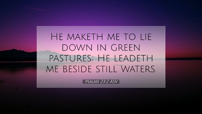 Picture 07 - Psalms 23:2 ASV Desktop Wallpaper - He maketh me to lie down in green pastures; He - Desktop Bible Verse Wallpaper