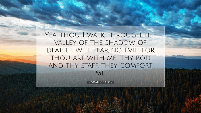 Picture 07 - Psalms 23:4 ASV Desktop Wallpaper - Yea, thou I walk through the valley of the shadow - Desktop Bible Verse Wallpaper