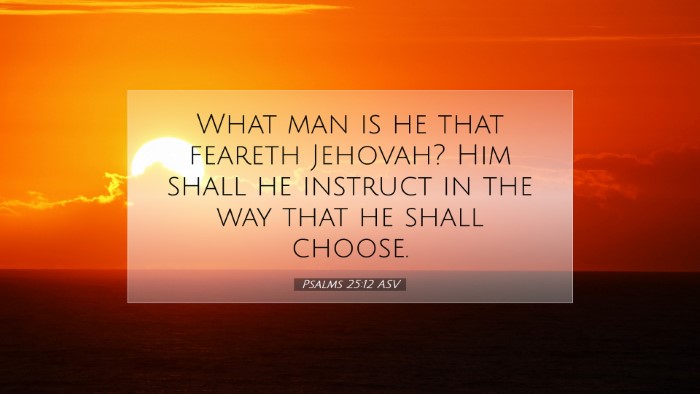 Picture 07 - Psalms 25:12 ASV Desktop Wallpaper - What man is he that feareth Jehovah? Him shall he - Desktop Bible Verse Wallpaper