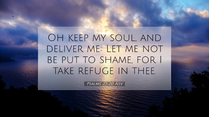 Picture 07 - Psalms 25:20 ASV Desktop Wallpaper - Oh keep my soul, and deliver me: Let me not be - Desktop Bible Verse Wallpaper