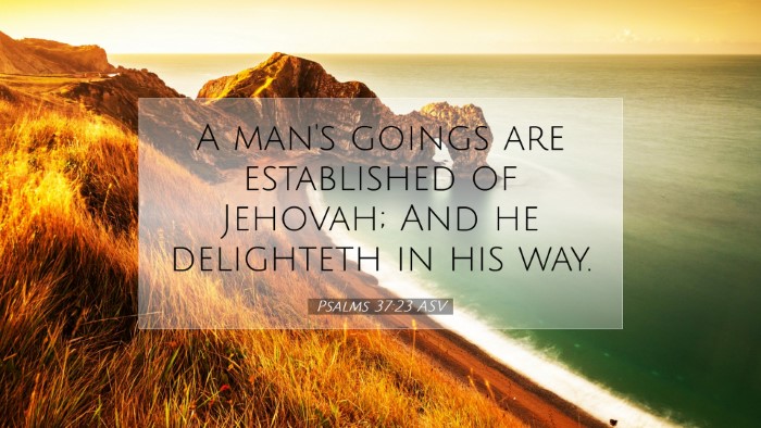 Picture 07 - Psalms 37:23 ASV Desktop Wallpaper - A man's goings are established of Jehovah; And he - Desktop Bible Verse Wallpaper