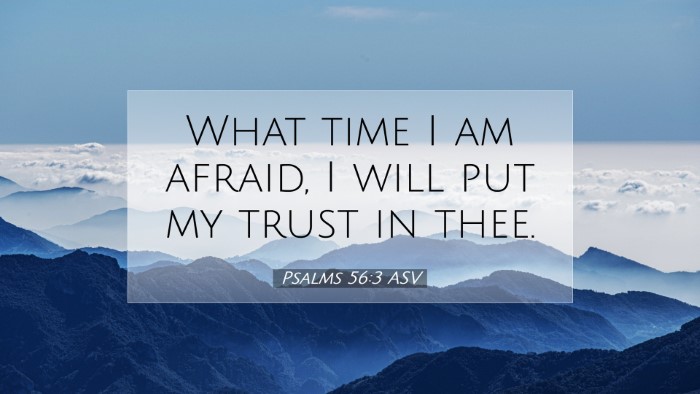 Picture 07 - Psalms 56:3 ASV Desktop Wallpaper - What time I am afraid, I will put my trust in - Desktop Bible Verse Wallpaper
