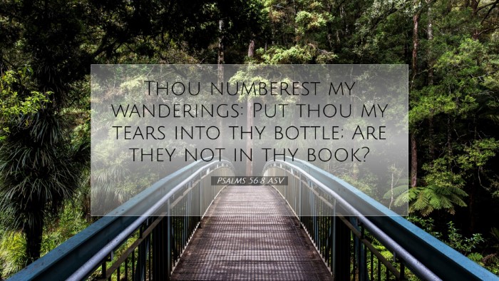 Picture 07 - Psalms 56:8 ASV Desktop Wallpaper - Thou numberest my wanderings: Put thou my tears - Desktop Bible Verse Wallpaper