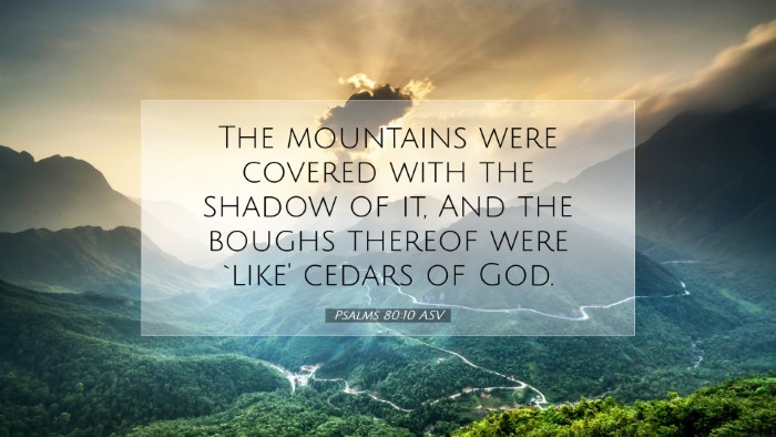 Picture 07 - Psalms 80:10 ASV Desktop Wallpaper - The mountains were covered with the shadow of it, - Desktop Bible Verse Wallpaper