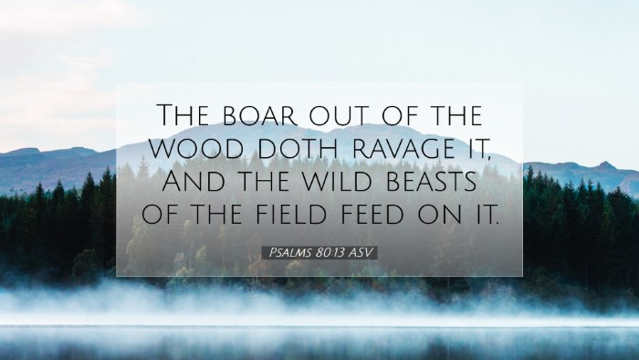 Picture 07 - Psalms 80:13 ASV Desktop Wallpaper - The boar out of the wood doth ravage it, And the - Desktop Bible Verse Wallpaper