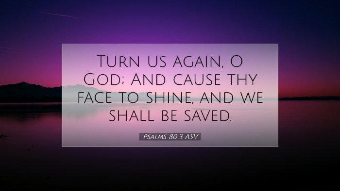 Picture 07 - Psalms 80:3 ASV Desktop Wallpaper - Turn us again, O God; And cause thy face to - Desktop Bible Verse Wallpaper