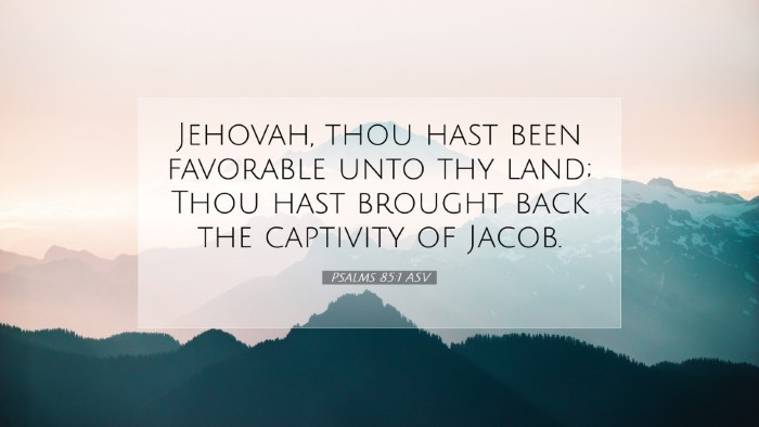 Picture 07 - Psalms 85:1 ASV Desktop Wallpaper - Jehovah, thou hast been favorable unto thy land; - Desktop Bible Verse Wallpaper