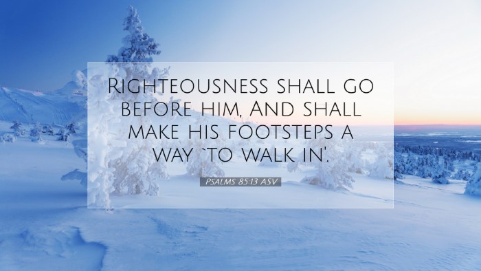 Picture 07 - Psalms 85:13 ASV Desktop Wallpaper - Righteousness shall go before him, And shall make - Desktop Bible Verse Wallpaper