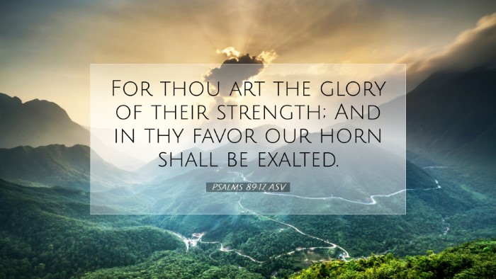 Picture 07 - Psalms 89:17 ASV Desktop Wallpaper - For thou art the glory of their strength; And in - Desktop Bible Verse Wallpaper
