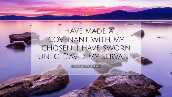 Picture 07 - Psalms 89:3 ASV Desktop Wallpaper - I have made a covenant with my chosen, I have - Desktop Bible Verse Wallpaper