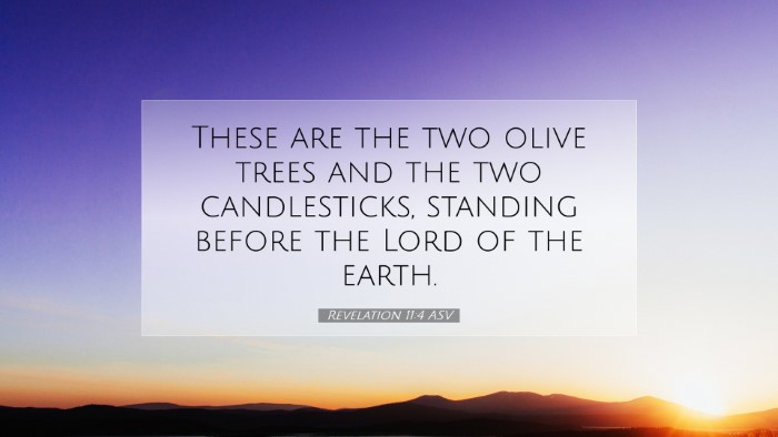 Picture 07 - Revelation 11:4 ASV Desktop Wallpaper - These are the two olive trees and the two - Desktop Bible Verse Wallpaper