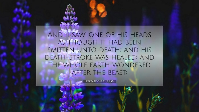 Picture 07 - Revelation 13:3 ASV Desktop Wallpaper - And `I saw' one of his heads as though it had - Desktop Bible Verse Wallpaper