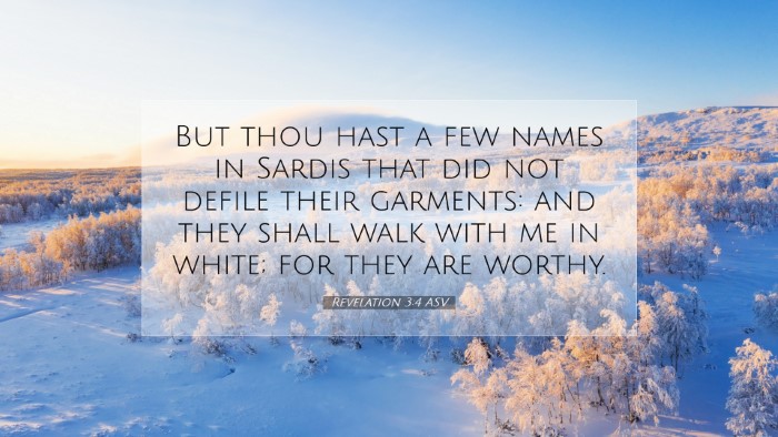 Picture 07 - Revelation 3:4 ASV Desktop Wallpaper - But thou hast a few names in Sardis that did not - Desktop Bible Verse Wallpaper