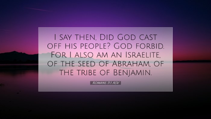 Picture 07 - Romans 11:1 ASV Desktop Wallpaper - I say then, Did God cast off his people? God - Desktop Bible Verse Wallpaper